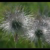 20050716_102